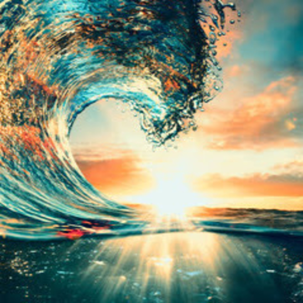 Meet your Posher, Vinita